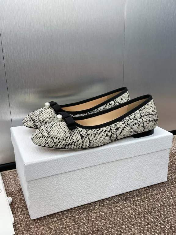 Dior Shoe 